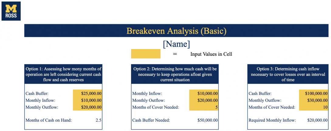 Image of the basic cash flow model spreadsheet. 